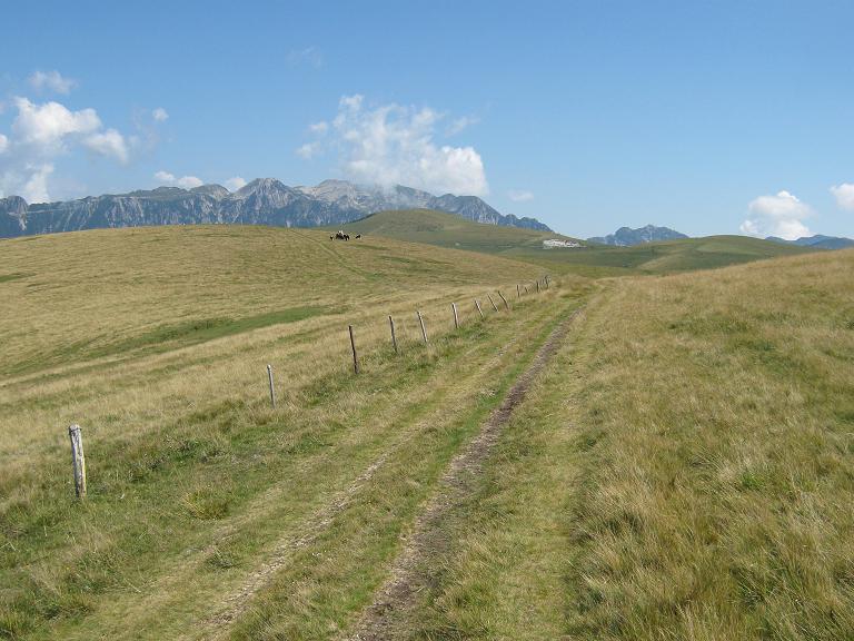 Immagine 45.jpg